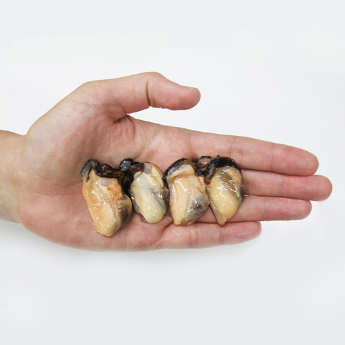 [水] 통영 거제 손질 홍합살 500g 육수용 홍합 탕 생홍합살