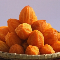 [선물세트]  프리미엄 곶감호두말이 선물세트(푸)