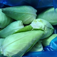 프리미엄 제주 고깔양배추