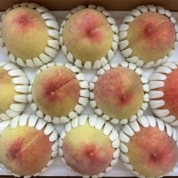 아삭아삭 달콤한향의 말랑이 털복숭아(푸)