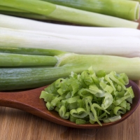 [농협] 한아름드린 신선 대파 2kg/4kg(특)