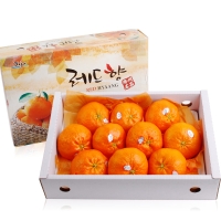 [농협공판장] 정성드린 레드향세트 3kg(13과내)  1박스/2박스