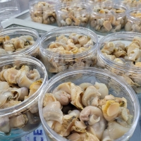 동해안 자연산 깐 자숙 백골뱅이 250g