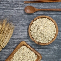 (25년산) 홍성농부의 찰보리 1kg 직접도정