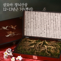 [삼모아] 산양산삼 12-13년근 2/3/5/7뿌리(VIP선물세트)/고가구목함+실크보자기