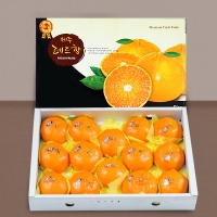 [푸토리] 새해 복 담은 제주마을 레드향 세트 3kg / 5kg