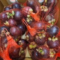 [오커늘푸] 망고스틴 생 망고스틴 500g