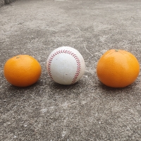 프리미엄 고당도 천혜향(푸)