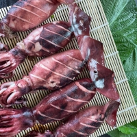 통찜용 오징어 600g6미~7미(최)