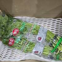 [오커최고] 청도 미나리 봄미나리