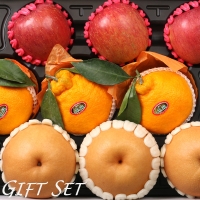 [1/19일부터 순차출고] [농협] 한아름드린 프리미엄 과일혼합세트 4kg(배3과/사과3과/한라봉3과)