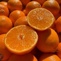 프리미엄  만다린귤(푸)