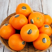 [농협공판장] 정성드린 블랙라벨 오렌지 중소과 3kg/5kg