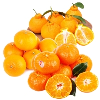 [명절특선] [농협] 한아름드린 제주 만감(한라봉/천혜향/레드향) 상품전