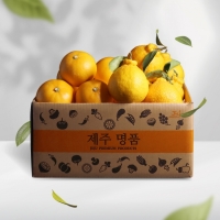 [오커브팜] 제주 한라봉 천혜향 레드향 만감 혼합 일반포장