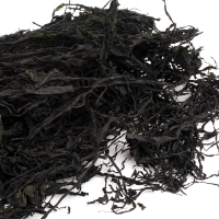 [완도금일수협] 냉풍미역 50gx2봉/3봉/5봉/10봉