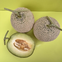 머스크 메론 싱싱하고 달달