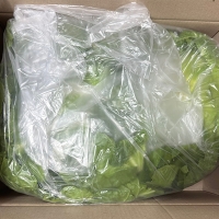 [신한카드 할인] 고소하고  달큰한  봄동