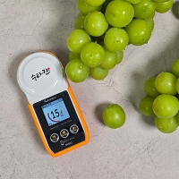 [보름데이] 식이섬유가 풍부한  샤인머스캣