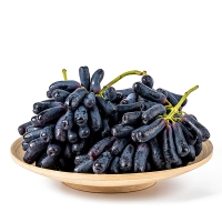 [오커최고] 블랙 사파이어 포도 