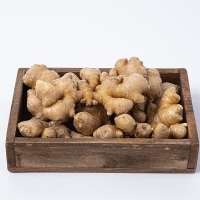 (최켓)국내산 생강 중500g~대1kg