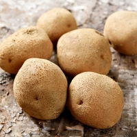 [농협] 한아름드린 수미감자 2kg/3kg/5kg/10kg (왕특/개당150g이상)