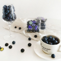 [자연속애] 고당도 칠레 생 블루베리 2팩/4팩/6팩/8팩 (팩당125g/16mm내외)