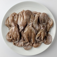 (제철도매) 서해바다 국내산 활 쭈꾸미-당일조업,당일발송- 1kg