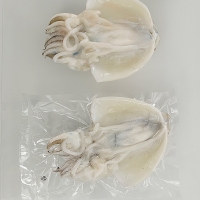 국내산 갑오징어 200g 이상 / 전남여수 / 손질 후 급속 동결