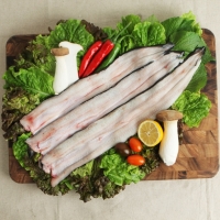 [고창출발] 풍천장어 100% 품질보증 기운센 불끈불끈 전북 고창 민물장어 1KG (손질전)