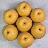 [보름데이] 아삭하고 시원한 나주배