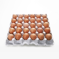 [보름데이] 영양만점  구운계란(푸)