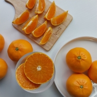 [오커캄스] 제주 천혜향 천리가는 천혜향 선물세트 선물가방 보자기