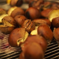 [신한카드 할인] 부여 햇밤(푸)