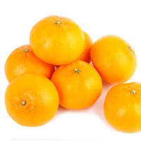 [제주향기] 탐나는 천혜향 3kg(10-12과내)  1박스/2박스