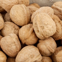 [농협공판장] 정성드린 볶음 피땅콩1kg+피호두 500g