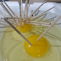 자연방사  홍삼란  유정란