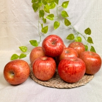 아삭아삭 달콤달콤  명품 부사 사과