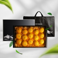 [오커브팜] 제주 한라봉 레드향 천혜향 만감 혼합 선물세트