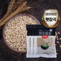 [대숲맑은물애] 25년산 고소함의 황금물결 보리쌀 1kg~5kg