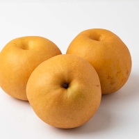 가정용 햇 배 신고배*