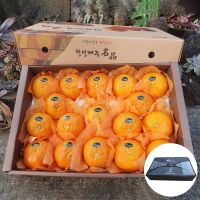 [특별할인]새콤달콤 감귤 제주 꿀 레드향 프리미엄 고당도 선물세트 2kg 3kg 5kg