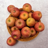 [산지직송] 경북 부사_고당도_산사과 [1kg-5kg]