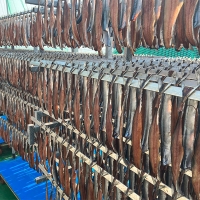 [보름데이] [만원의 행복] 명품 구룡포  과메기(푸)