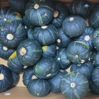[농장직송] 제주 특품 로얄과 미니밤호박 [1kg-9kg]