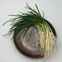 [오커캄스] 향긋 달래 세척 달래 300g 500g 1kg