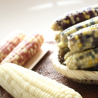 [자연속애] 중국산 냉동 찐 홍찰옥수수 10개/15개/20개/25개/30개(중12-14cm내외)