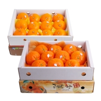 [농협공판장] 당도선별 정성드린 제주만감 2종묶음세트(천혜향+레드향 각3kg 10과내)