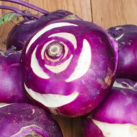 [백억] 아삭 달큰 제주 햇 콜라비