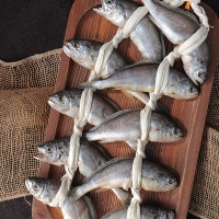 굴비 영광 법성포 굴비 선물세트 가정용 진공포장 엮걸이포장